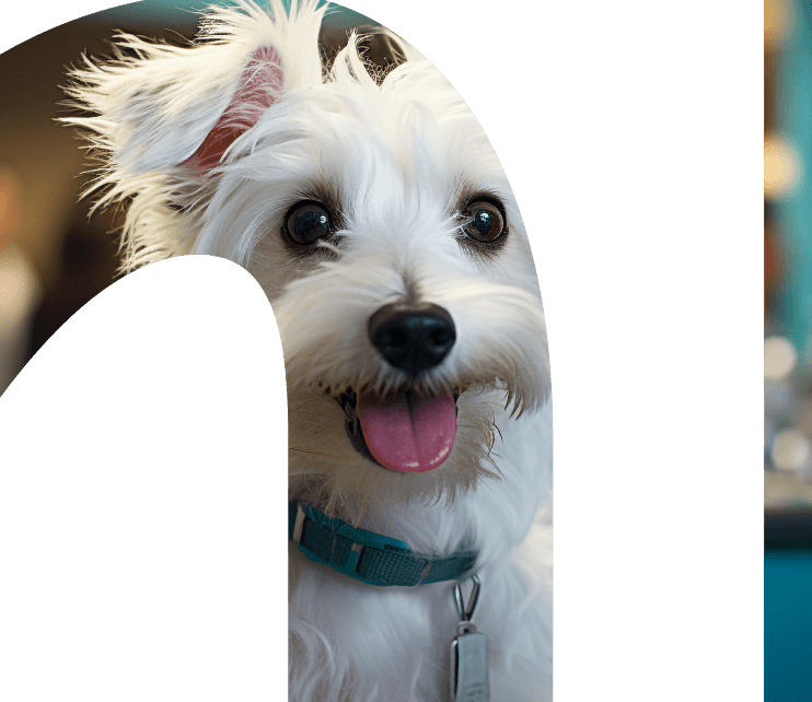 Imagem representativa 